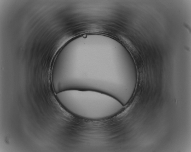 X0000092101178200709121103