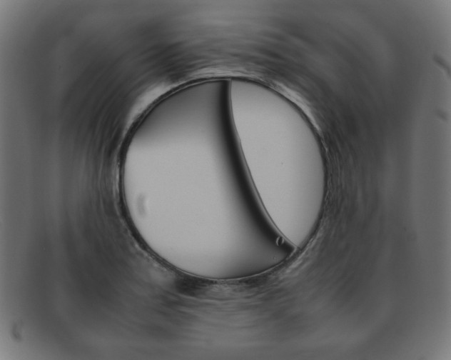 X0000092101179200709121103