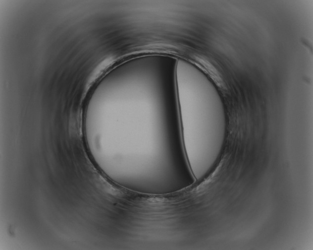 X0000092101180200709121103
