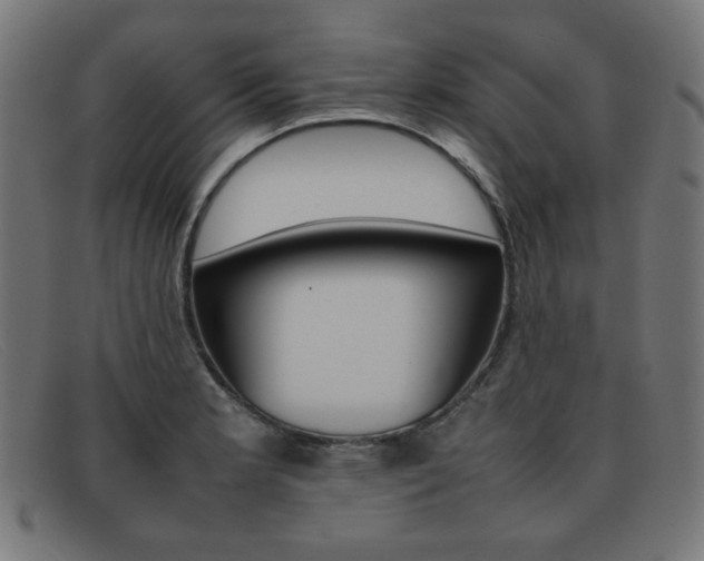 X0000092101181200709121103