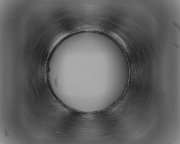 X0000092101182200709121103