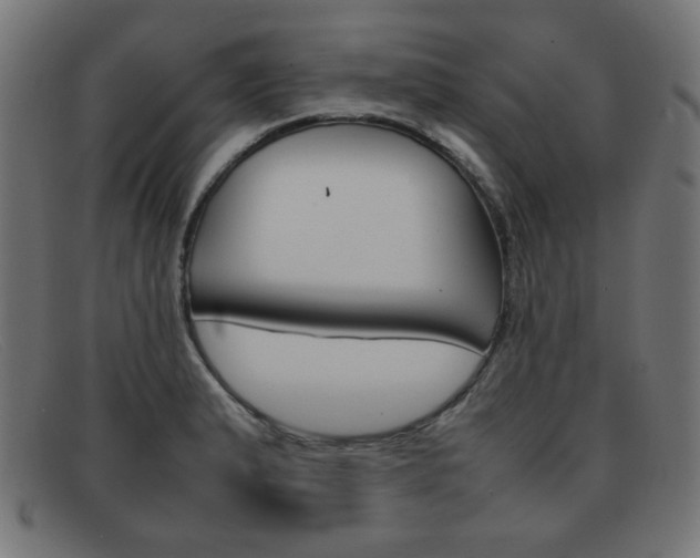 X0000092101183200709121103