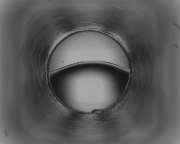 X0000092101184200709121103