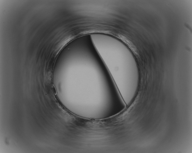 X0000092101185200709121103