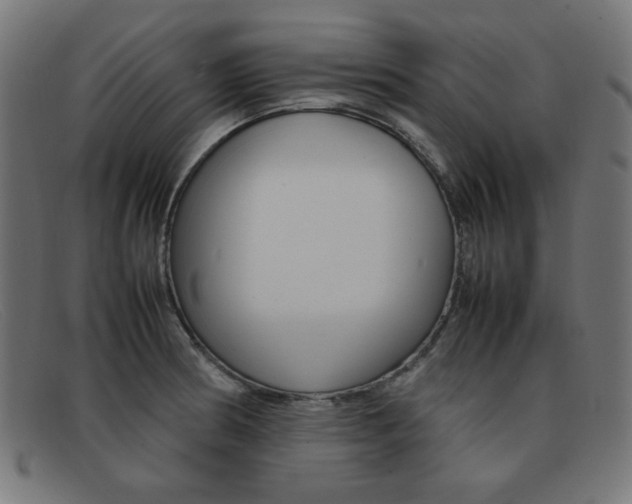 X0000092101186200709121103