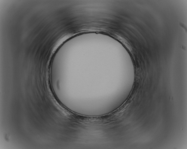X0000092101187200709121103