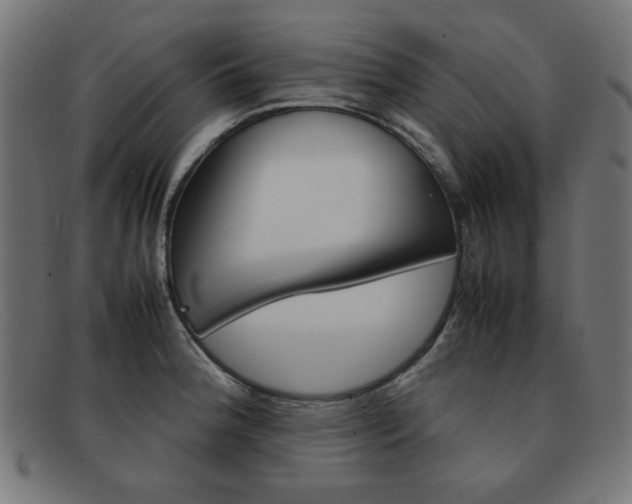 X0000092101188200709121103