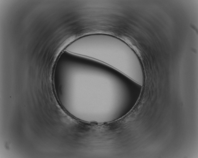 X0000092101189200709121103