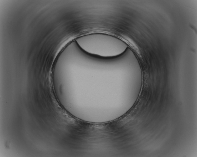 X0000092101190200709121103