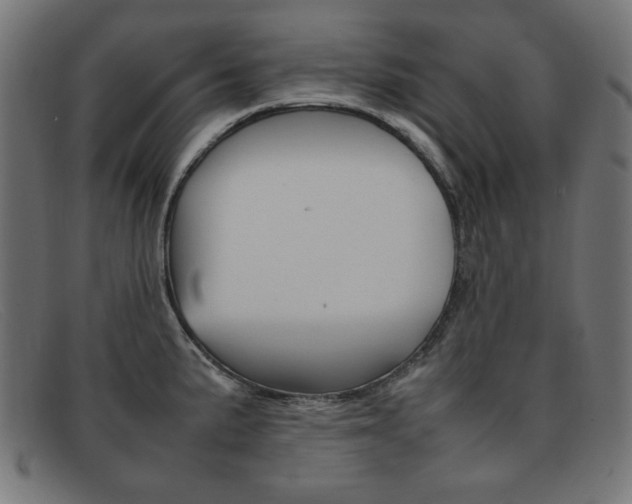 X0000092101191200709121103
