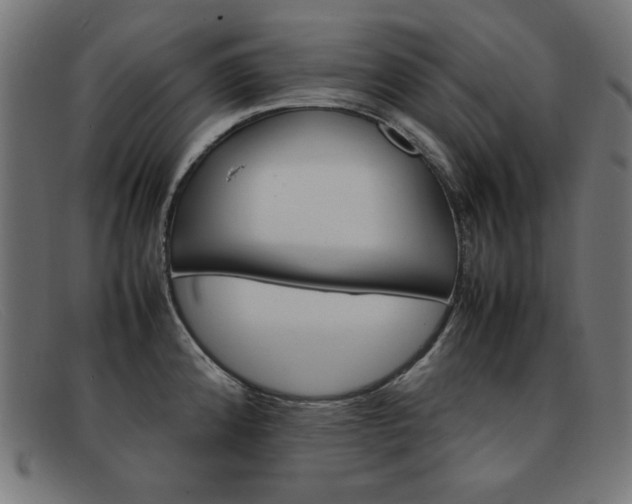 X0000092101192200709121103