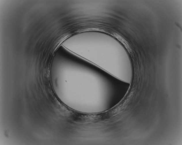 X0000092101193200709121103