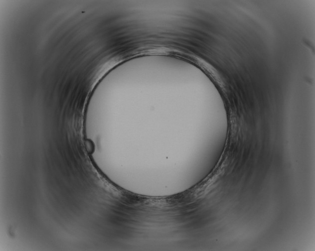 X0000092101194200709121103