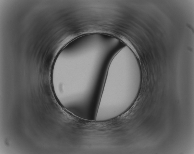 X0000092101197200709121103
