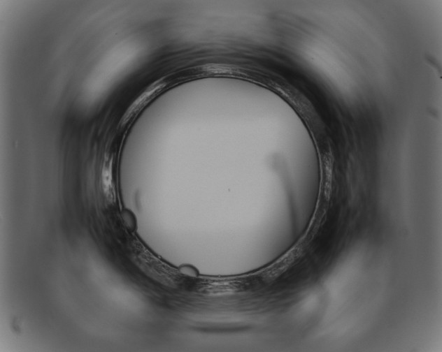 X0000092101198200709121103