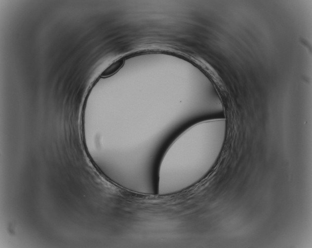 X0000092101199200709121103