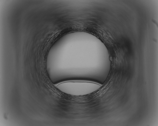 X0000092101201200709121103