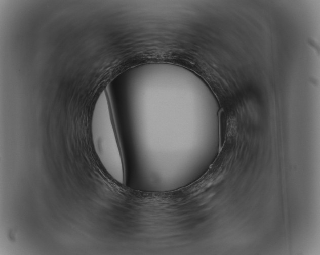 X0000092101202200709121103