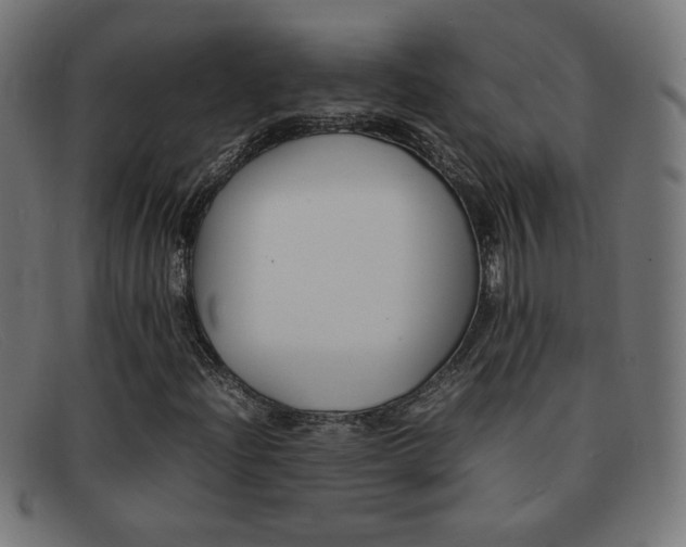 X0000092101204200709121103