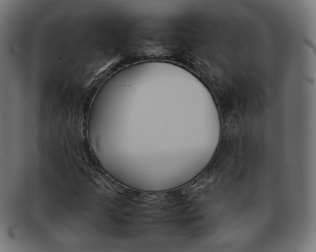 X0000092101205200709121103