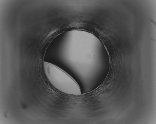 X0000092101206200709121103