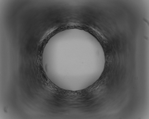X0000092101207200709121103