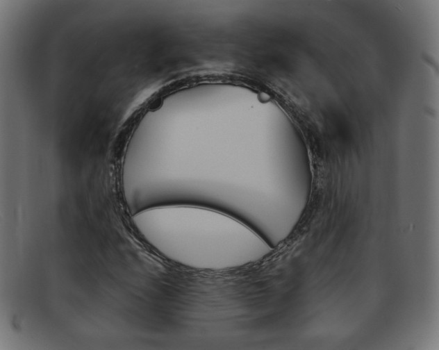 X0000092101208200709121103