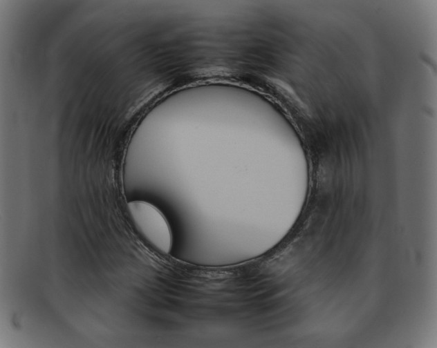X0000092101209200709121103