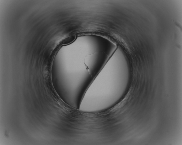 X0000092101210200709121103