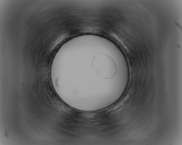 X0000092101211200709121103