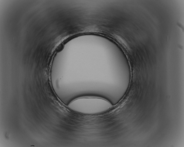 X0000092101212200709121103