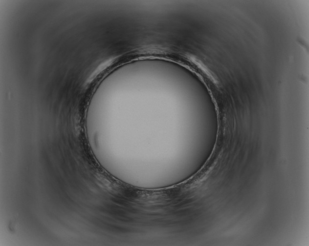 X0000092101213200709121103