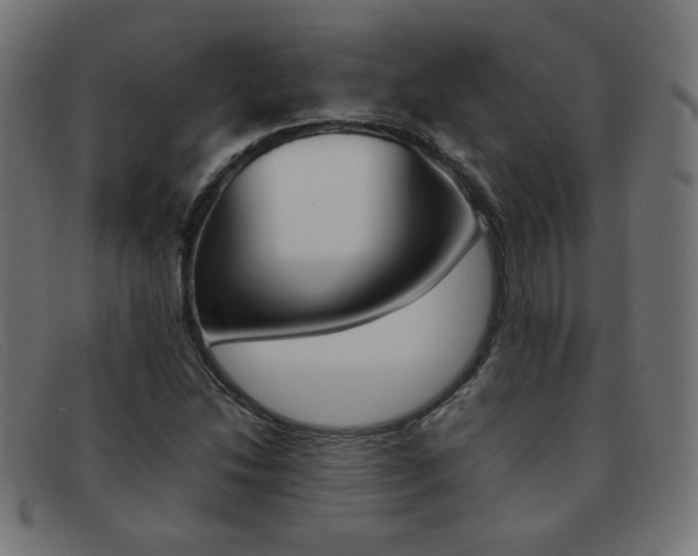 X0000092101214200709121103