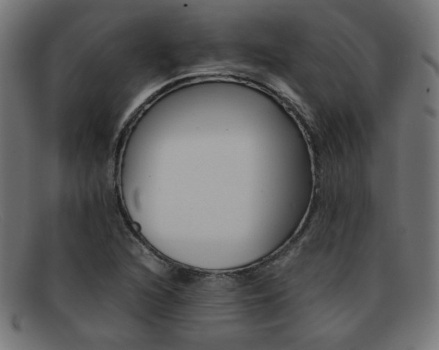 X0000092101216200709121103
