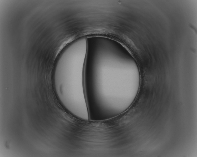 X0000092101218200709121103