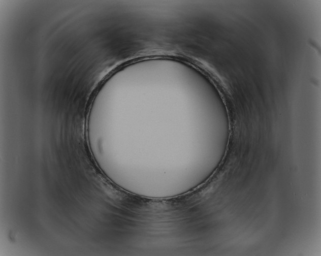 X0000092101220200709121103