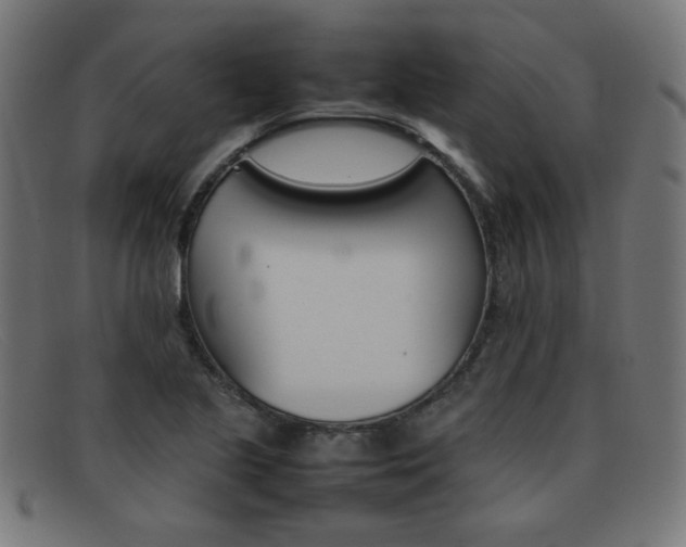 X0000092101221200709121103