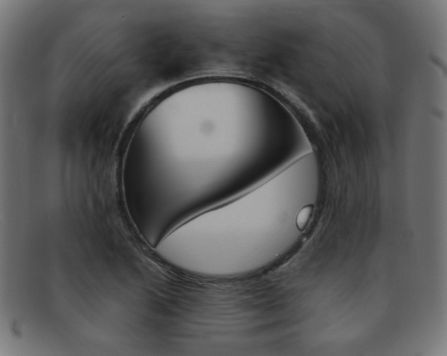 X0000092101222200709121103