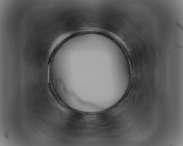 X0000092101223200709121103