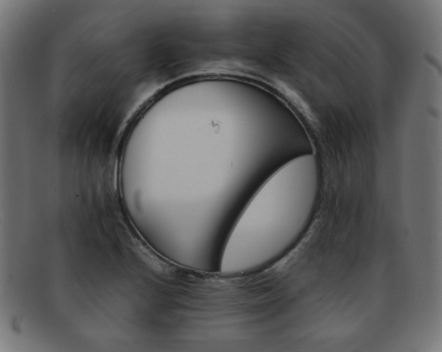 X0000092101224200709121103