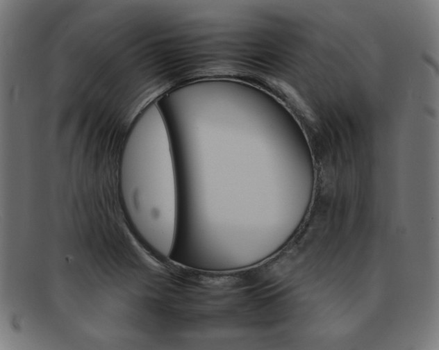 X0000092101225200709121103