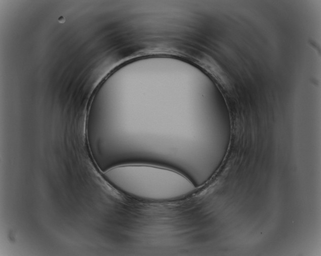 X0000092101228200709121103