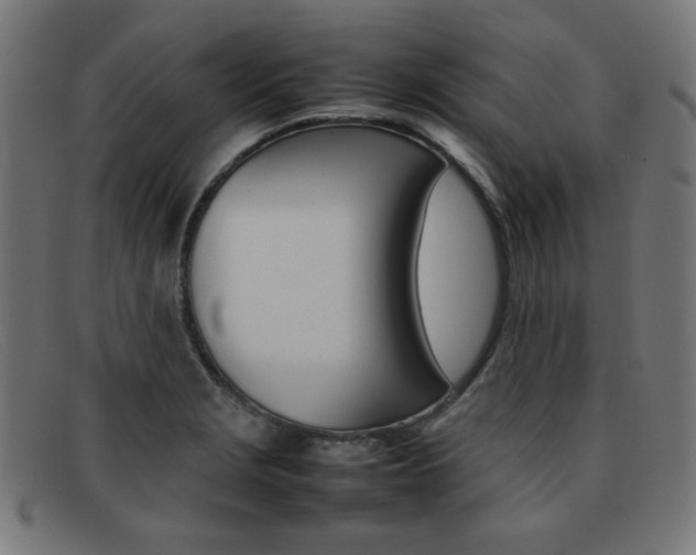 X0000092101229200709121103