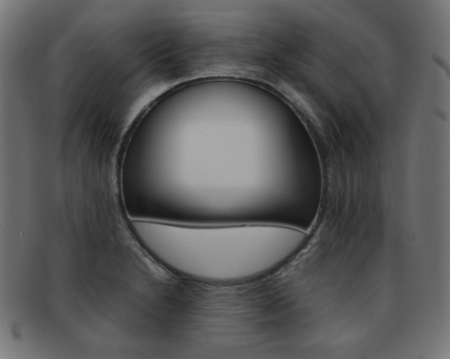 X0000092101230200709121103