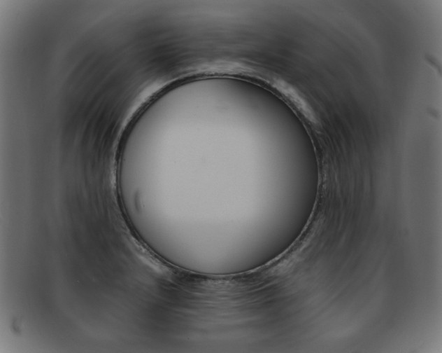 X0000092101232200709121103