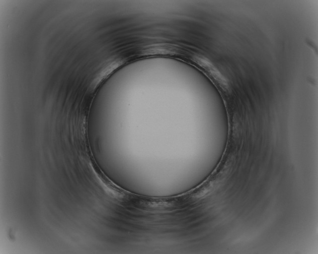 X0000092101233200709121103