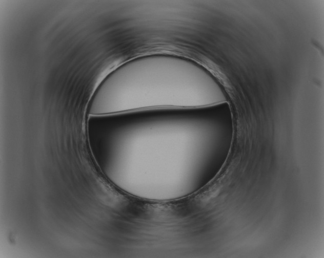 X0000092101234200709121103