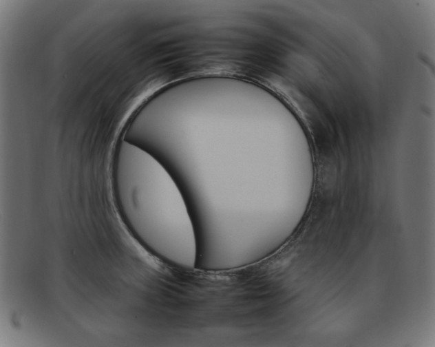 X0000092101235200709121103