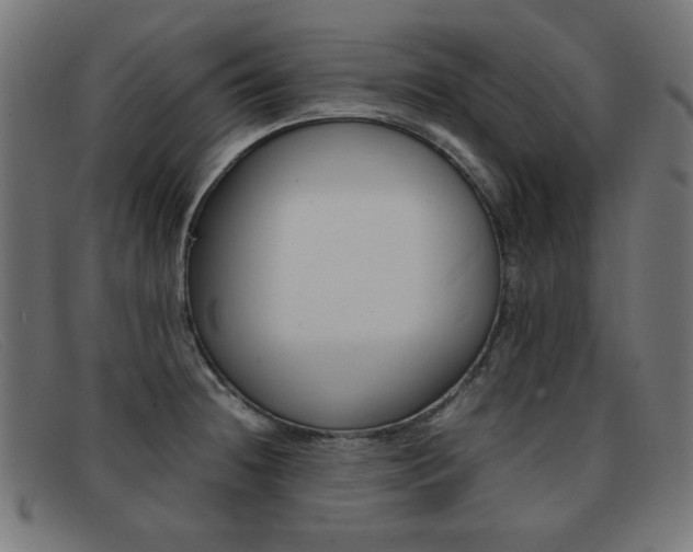 X0000092101236200709121103