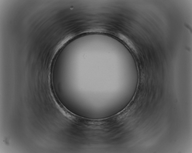 X0000092101237200709121103